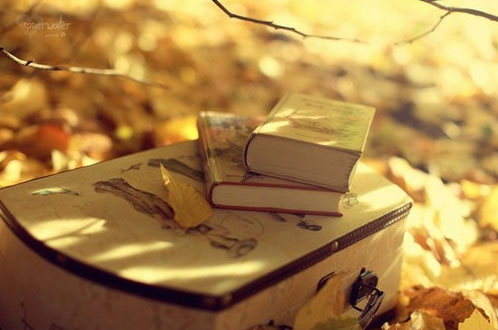 一個孩子執著的信念 一個孩子執著的信念