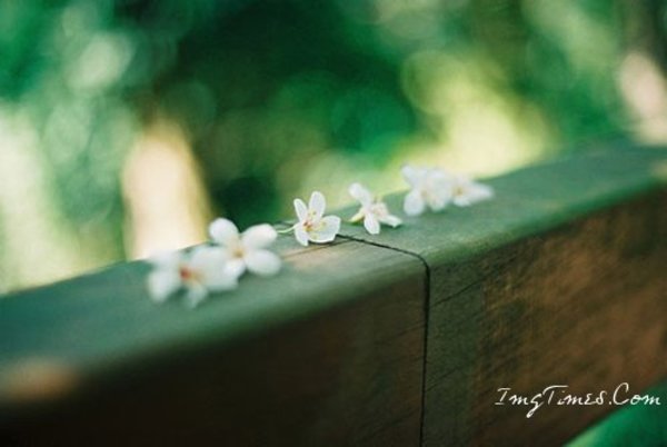 要整容,不如先整心 要整容,不如先整心