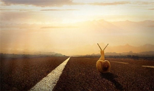 六間房劉巖：創(chuàng)業(yè)有七“似”，丐娼盜匪俠王神