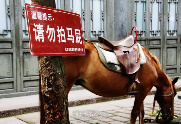 劉勇:不要拍馬屁讓人舒服就好 劉勇:不要拍馬屁讓人舒服就好