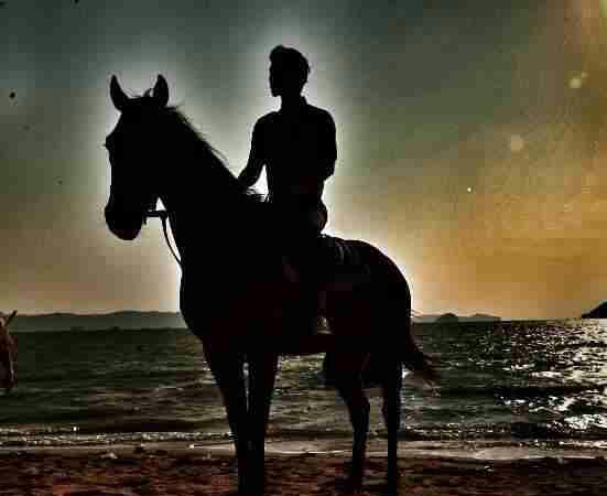 其實(shí),哪里有真的白馬王子? 其實(shí),哪里有真的白馬王子?