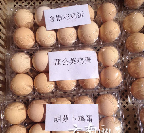 生態農業新項目:讓雞吃中草藥市場非常青睞下的生態蛋 生態農業新項目:讓雞吃中草藥市場非常青睞下的生態蛋