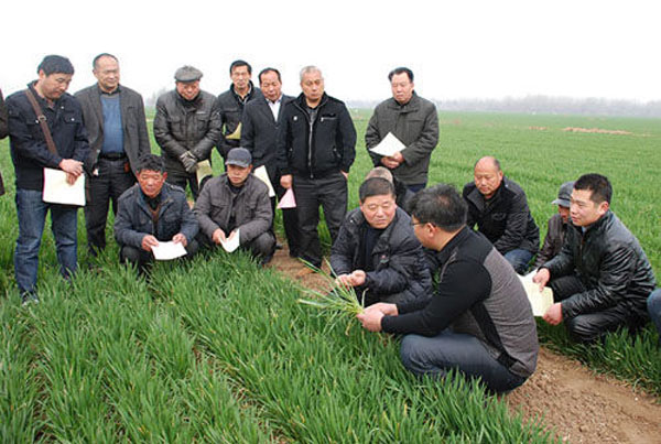 開展農技服務。 開展農技服務。