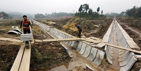 農業園的開發 農業園的開發