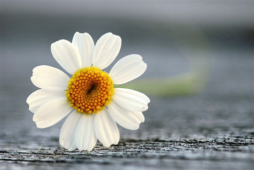 不要害怕自己不聰明,也不要害怕做一個努力的普通人 不要害怕自己不聰明,也不要害怕做一個努力的普通人