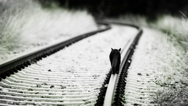 汽車(chē)服務(wù)O2O-Yocar周新楷：2014年，我們創(chuàng)業(yè)失敗了