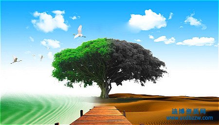 環保工程資質代辦如何準備資產？