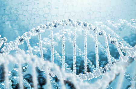 成都市政資質辦理