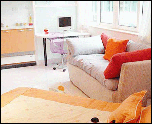 白領單身公寓:小戶型效果圖欣賞