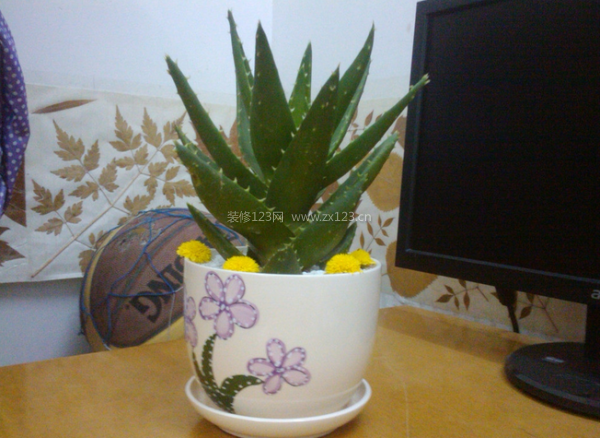 室內裝修 室內裝修