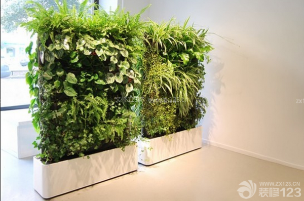 房子裝修后怎樣去味 房子裝修后怎樣去味