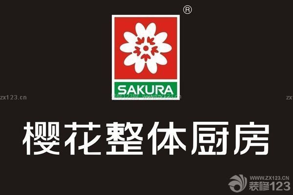 廚衛(wèi)電器一線品牌